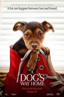 A Dog's Way Home The movie poster of A Dog's Way Home